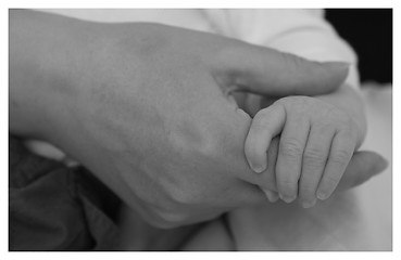 Image showing A mother's hand