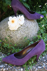 Image showing Pumps in lilac and white roses