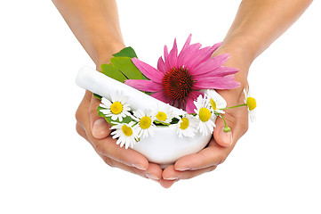 Image showing Young  woman holding mortar with herbs – Echinacea, ginkgo, chamomile