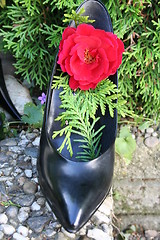 Image showing Black pumps with red rose