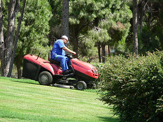 Image showing lawn mowing