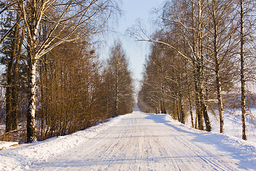 Image showing Winter road