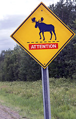 Image showing Moose Crossing Sign