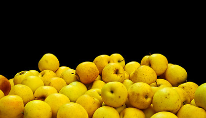Image showing Golden Apples