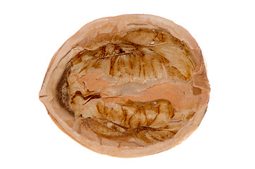 Image showing Crack walnut
