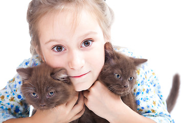 Image showing girl gently embracing two chestnut British kittens