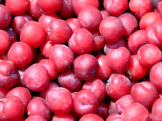 Image showing Plum