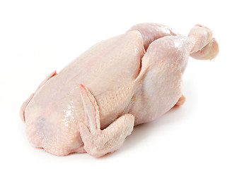 Image showing fresh raw chicken