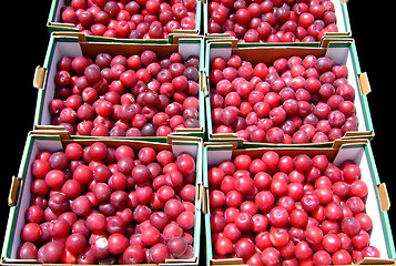 Image showing Plum crates