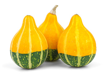 Image showing Three decorative fancy pumpkins
