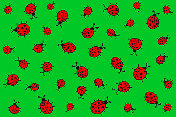 Image showing Ladybirds