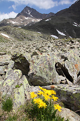 Image showing Italian Alps