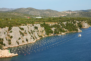 Image showing Mussels farm