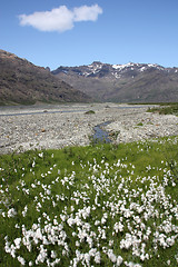 Image showing Iceland - Skaftafell National Park