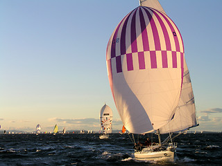 Image showing spinnaker sailing