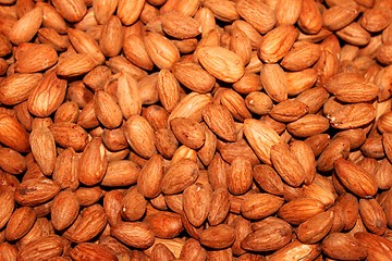 Image showing Almonds