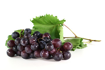 Image showing Grapes