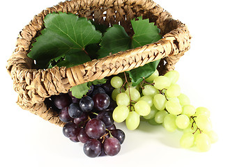 Image showing Grapes