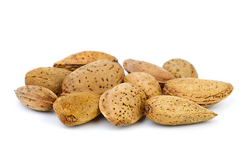 Image showing Few unshelled almonds