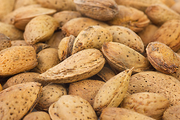 Image showing Abstract background: unshelled almonds