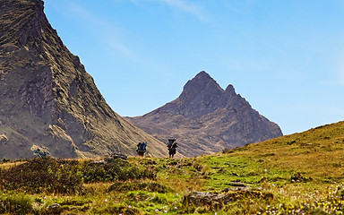 Image showing Hiking