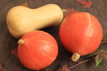 Image showing Pumpkins.