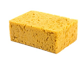 Image showing Sponge