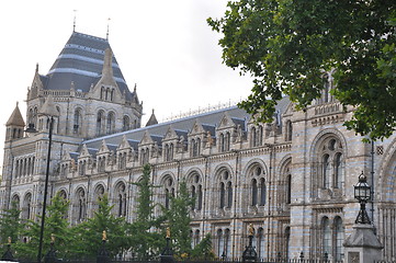 Image showing Natural History Museum in London