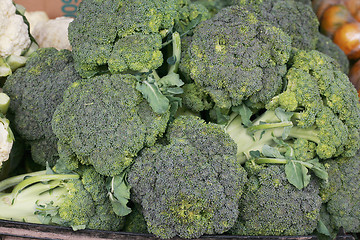 Image showing green fresh broccoli close up