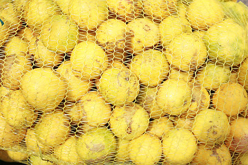 Image showing Oranges in mesh bag series 