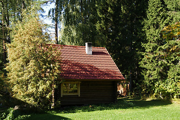 Image showing The house and plants