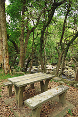 Image showing Picnic place in forest 