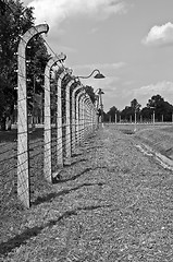 Image showing Auschwitz Birkenau concentration camp.