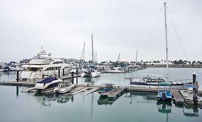 Image showing large yachts in the golden coast