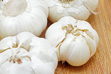 Image showing garlic