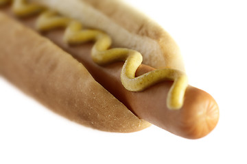 Image showing Hot Dog