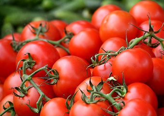 Image showing tomatoes for sale at a market 