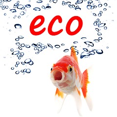 Image showing eco