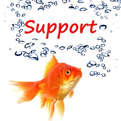 Image showing support