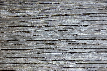 Image showing wood texture