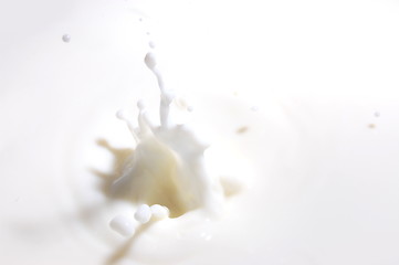 Image showing milk splash