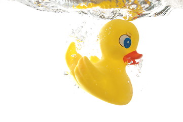 Image showing rubber duck