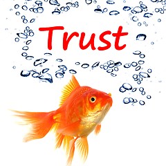 Image showing trust