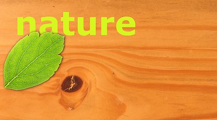 Image showing nature