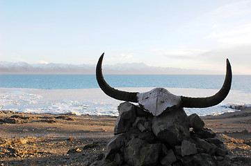 Image showing Landscape in Tibet