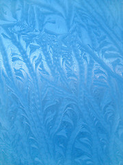 Image showing winter glass