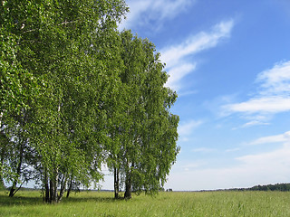 Image showing summer landscape