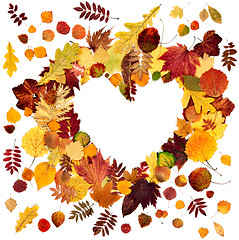 Image showing form the heart of autumn leaves