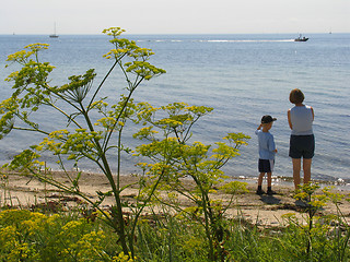 Image showing Summer at the sea.