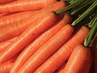 Image showing Carrots 